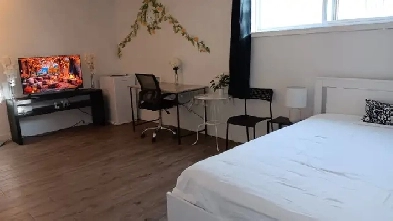 $870/MONTH: FULLY FURNISHED, A BIG PRIVATE ROOM FOR RENT Image# 4