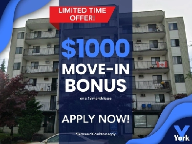 BEAUTIFUL 1 BEDROOM APARTMENT AVAILABLE Image# 2