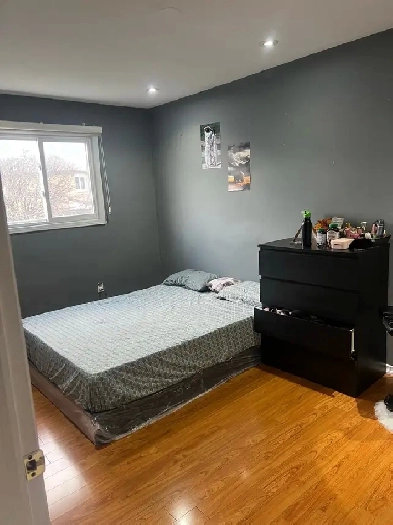 Room For Rent Image# 3