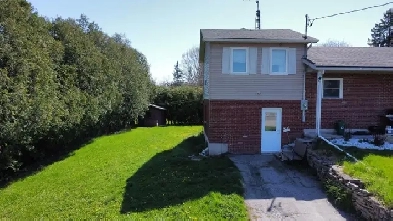 Spacious one bedroom apartment Image# 2