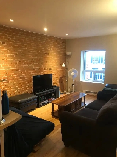 3 Bedroom Downtown Apartment For Rent Image# 5