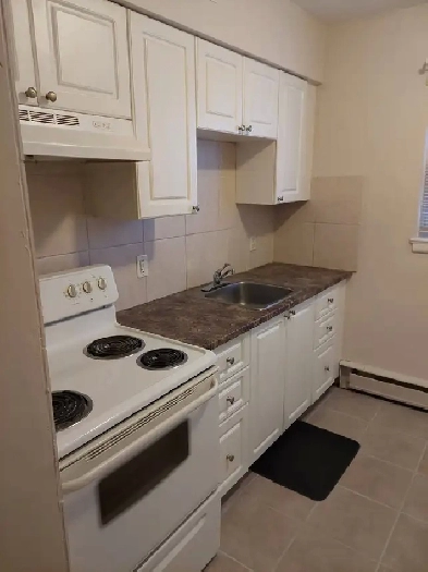 1 Bedroom Apartment for rent Image# 4