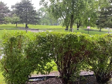 NOW AVAILABLE CONDO CORNER GROUND LEVEL PATIO/BACKYARD ENTRANCE! Image# 6