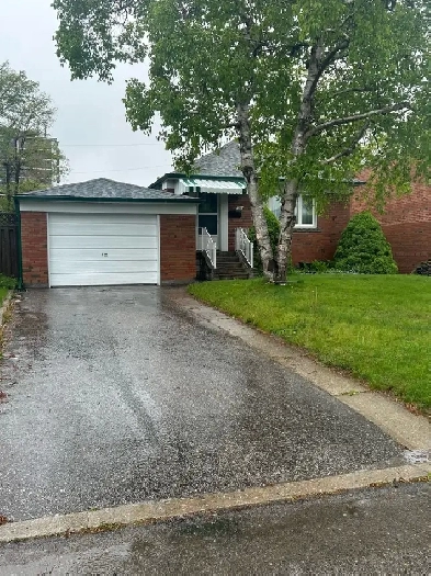 Scarborough Basement For Rent Image# 4