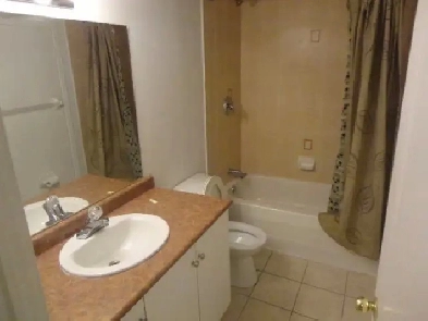 1 Bedroom basement near Mavis & Britannia Available January 1st Image# 5