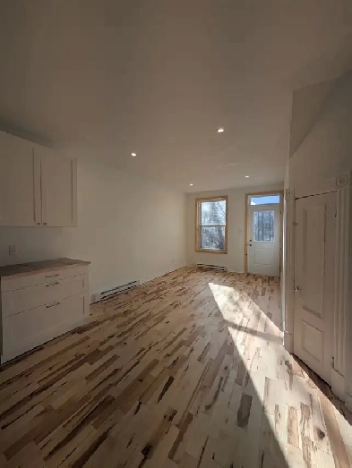 Appartement 3 1/2 fraîchement rénové - Hochelaga (Viauville) Image# 1