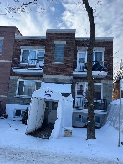 3 1/2 2e étage 1er Janvier Image# 1