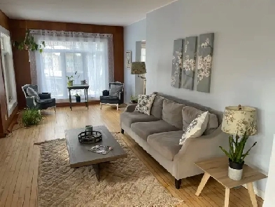 Female University Room Mate Wanted Image# 9