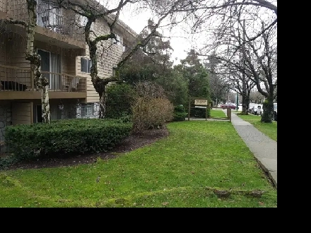 Large One Bed near Marpole Loop Available Jan 1st2026or early