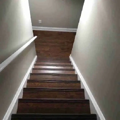 2 Bedroom Basement for rent Image# 3