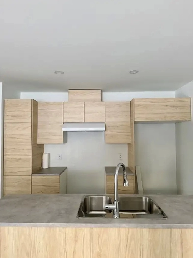 Logement 3 1/2 à louer Sainte-Adèle Image# 1