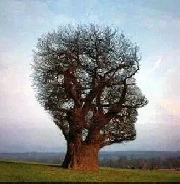 Recherche colocation dans une Maison Image# 1