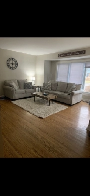Basement Bedroom for Rent in very clean home. Image# 6