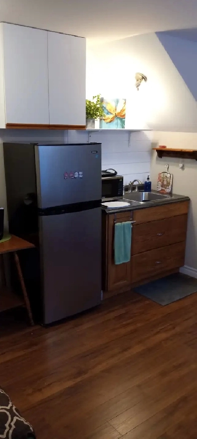 1 Bedroom 2 Level Furnished Suite - Centrally Located Image# 8