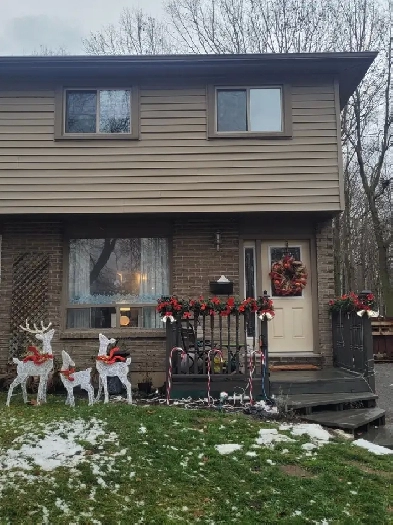 Room for Rent (Welland) Quiet Home Near Welland Niagara College Image# 9