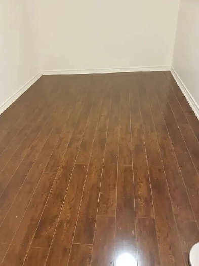 Furnished Basement for Rent Near Humber College North Campus Image# 4