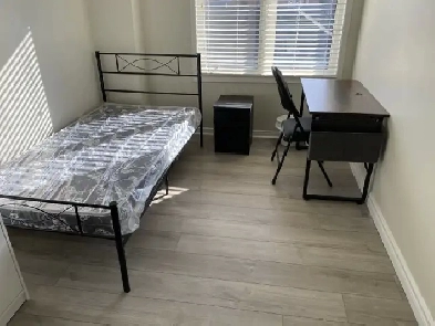 York University village room for rent Image# 2