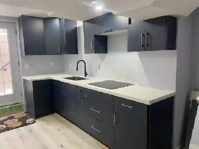 Spacious bright walkout basement in corner unit Richmond hill