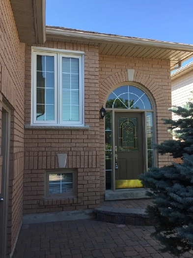 Pets are welcome so are their owners! Image# 3