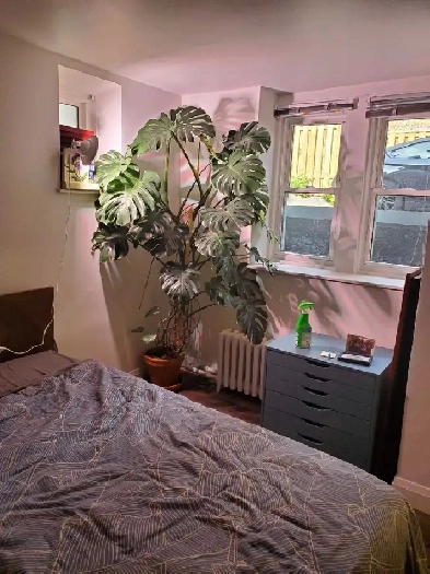 1 bedroom apartment Howard park/parkside dr Image# 1