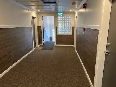 LARGE ONE BEDROOM APARTMENT RENOVATED S.E. HILL Image# 8