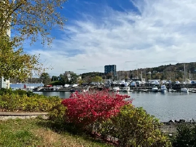 Furnished Condo - 85 Spinnaker Drive - Regatta Point - Halifax Image# 7