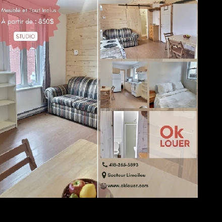 STUDIO - LIMOILOU - TOUT INCLUS ET MEUBLÉ Image# 1