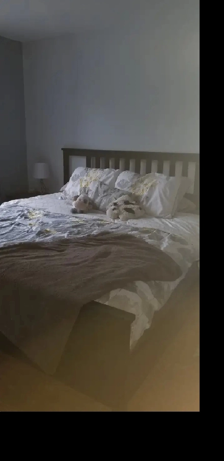 Very Large 4 1/2 Beautiful West Island Image# 4