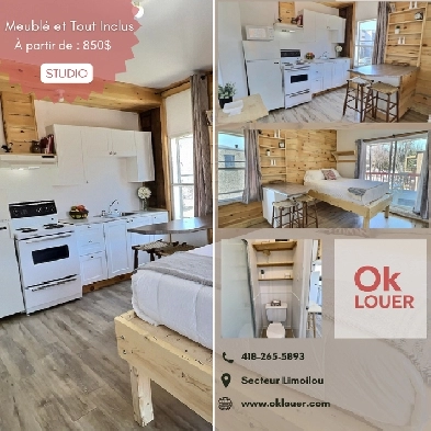 studio, tout inclus et meublé -  Limoilou. Image# 4