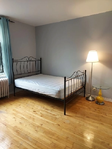 Big furnished room, All included, Guy roommates, Vendome, Jan 1 Image# 3