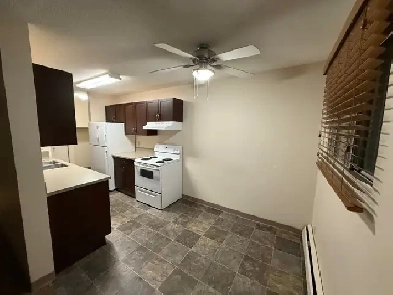 2 Bedroom Apartment Olds, Alberta Image# 10