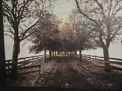 Room for rent furnished windsor Image# 1