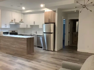 New basement suite for rent Image# 4