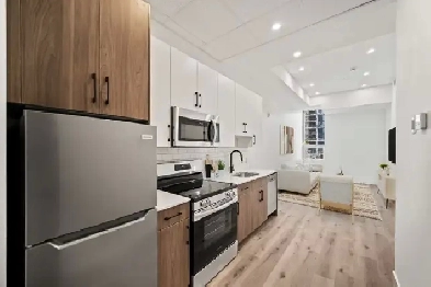 BRAND NEW  1 Bedroom Apartment Located In Heart Of Downtown