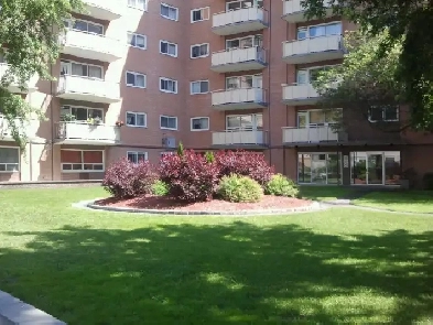 1 Bedroom Apartment Image# 13