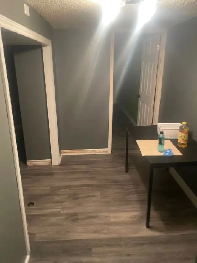 1 Bedroom Basement Apartment for Rent in downtown Hamilton Image# 2