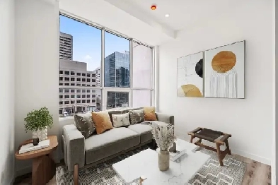 BRAND NEW 1 Bedroom Apartment Ready For December Or January