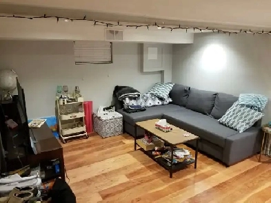 1 Bed Basement Corso Italia Image# 3