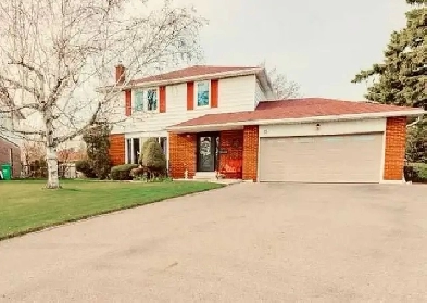 4 Bedrooms and 3 Washrooms House for rent Image# 9