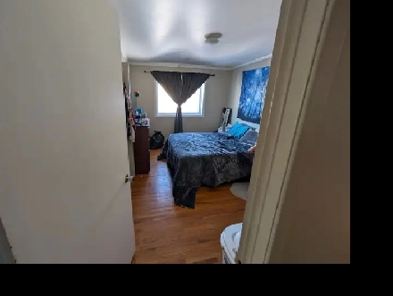 Grand 4 ½, 1465 Rue Beaumont,Longueuil,1 Fev. 2026 Image# 4