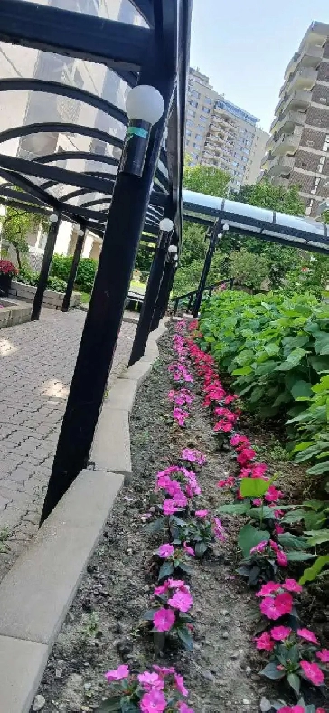 Furnished Studio Condo – $1,200/Month – Golden Square Mile Image# 10