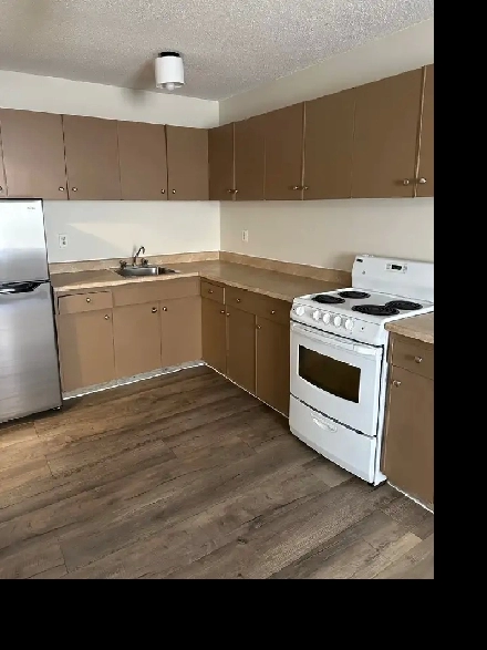 Renovated 1 BD and 2 BD apart ONE block from NAIT Image# 3
