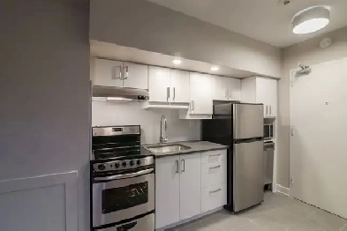 modern studio apartment near McGill - ID 423 Image# 5