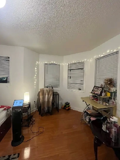 Room For Rent Image# 2