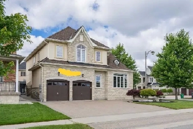 1 Bedroom Basement for Rent East Brampton Queen / Mcvean Image# 8