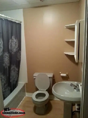 Spacious, bright, & inviting 2 bdrm top floor apt for rent, Image# 6