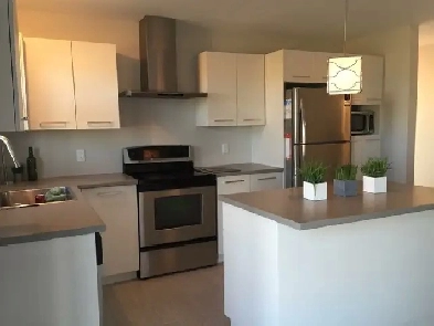 Appartement 5½ à louer Image# 3