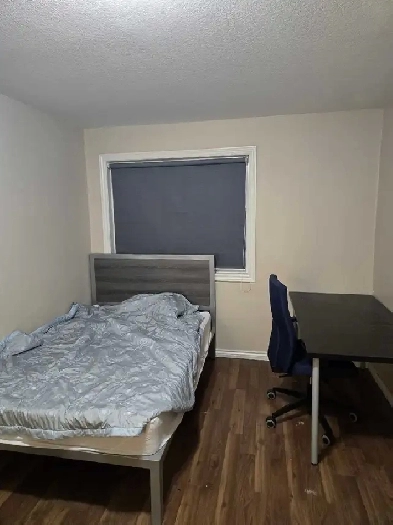 Waterloo May Sublet Image# 4