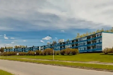 Renovated 1BR apt near Foothills Hospital SAIT and U of C