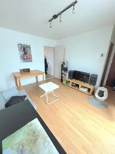 Appartement  3 12   louer  Longueuil   1er Fvrier 2026